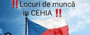 se lucreaza in cehia cu forme legale