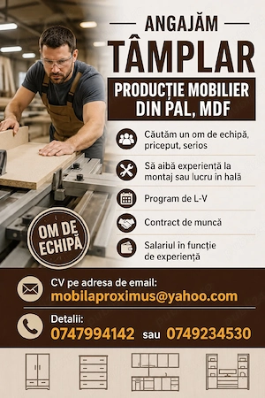 Angajam tamplar montator mobilier