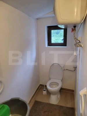Casa de vanzare, 135 mp si 5 hectare de teren, langa Deva  - imagine 6