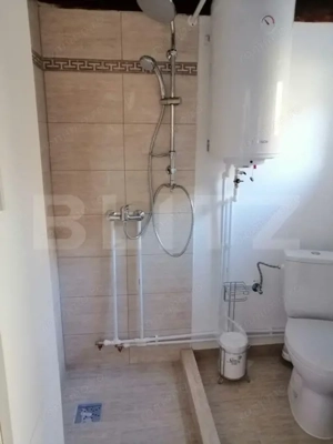 Casa de vanzare, 135 mp si 5 hectare de teren, langa Deva  - imagine 7