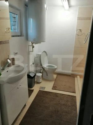 Casa de vanzare, 135 mp si 5 hectare de teren, langa Deva  - imagine 5