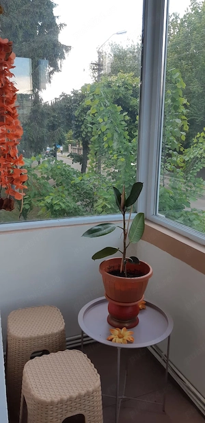 Apartament în Tg-Mureș de închiriat  - imagine 8