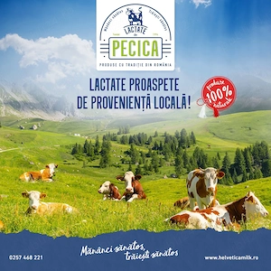 Angajam inginer industrie alimentara