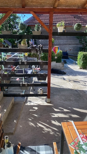 casa 4 camere hunedoara racastie  - imagine 8