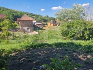 Casa locuibila 74 mp ,cu gradina de 1000mp, Cara - imagine 9