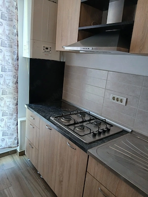 Apartament cu 1 camera de inchiriat in Complexul Studențesc - gradina proprie - imagine 12
