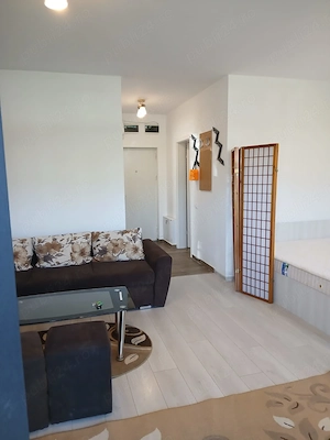 Apartament cu 1 camera de inchiriat in Complexul Studențesc - gradina proprie - imagine 10