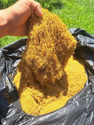 Firicel PREMIUM, fără impurități 