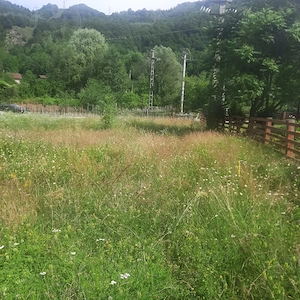 Teren superb 1081 mp Malaia, Vâlcea - imagine 8