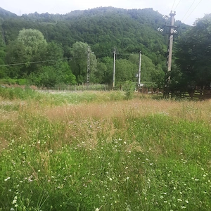 Teren superb 1081 mp Malaia, Vâlcea - imagine 4