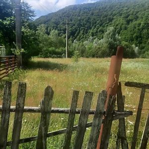 Teren superb 1081 mp Malaia, Vâlcea - imagine 3