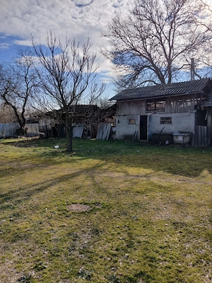  Casă solidă + curte mare 1800 mp   Finta, sat Gheboaia - imagine 3