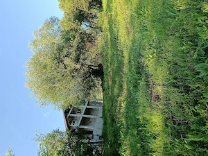 Casa noua cu teren de 3278mp, Glodeni Vale(Pucioasa) - imagine 4