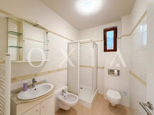 SX749 Dumbravita (Babel) - Individuala - Disponibila Imediat - imagine 7