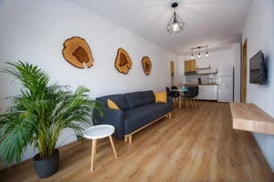 Apartament 2 camere + loc de parcare de închiriat – Zona Ceyrat - imagine 8