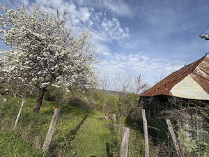 TEREN + CASĂ + LIVADĂ | 5200 mp ideal investietie sau locuinta - imagine 4
