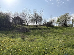 TEREN + CASĂ + LIVADĂ | 5200 mp ideal investietie sau locuinta - imagine 5