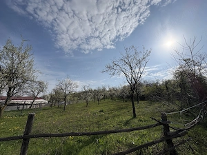 TEREN + CASĂ + LIVADĂ | 5200 mp ideal investietie sau locuinta - imagine 6
