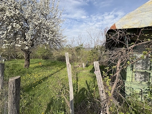 TEREN + CASĂ + LIVADĂ | 5200 mp ideal investietie sau locuinta - imagine 8