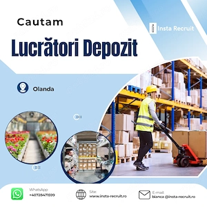 Angajări în Olanda- Logistică, Depozite și Producție