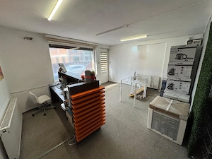 spatiu comercial stradal in vila inviduala  - imagine 5