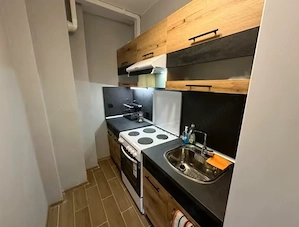 Apartament cu 2 camere de inchiriat in zona Pallady - imagine 4