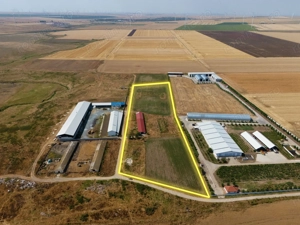 Cogealac - Tariverde – Ferma cu teren intravilan, utilitati racordate! - imagine 3