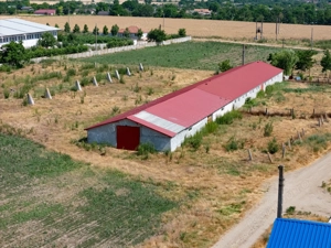 Cogealac - Tariverde – Ferma cu teren intravilan, utilitati racordate! - imagine 6