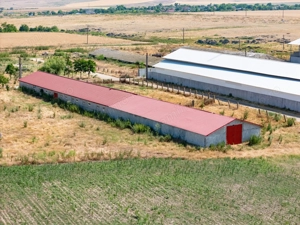Cogealac - Tariverde – Ferma cu teren intravilan, utilitati racordate! - imagine 7