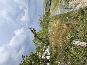 Teren intravilan 919 mp, sat Vălcele, com. Feleacu   15 min de Cluj-Napoca - imagine 4