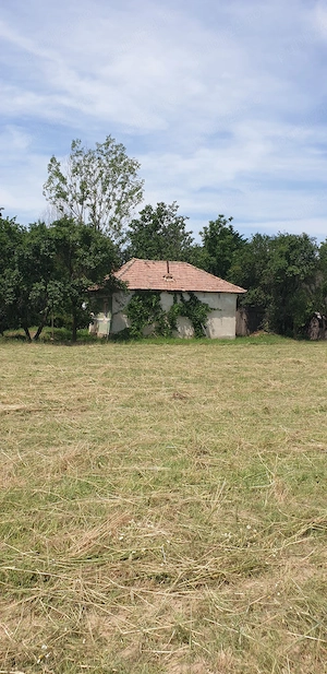 PROPRIETATE  pentru investitie - imagine 8
