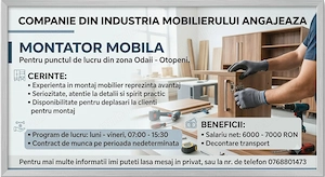 Montator Mobila Otopeni sau Chitila