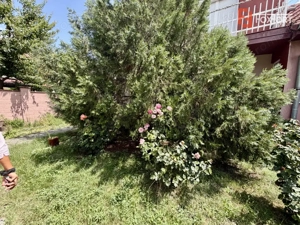 Apartament cu 2 camere la casa - de inchiriat in Dumbravita - imagine 6