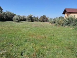 Gradină de vânzare