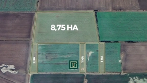 Teren agricol de 11,75 ha de vânzare, la 1,5 km de Turnu, jud. Arad - imagine 2