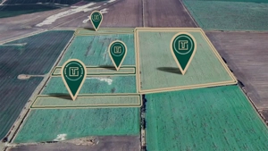 Teren agricol de 11,75 ha de vânzare, la 1,5 km de Turnu, jud. Arad - imagine 3