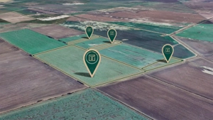 Teren agricol de 11,75 ha de vânzare, la 1,5 km de Turnu, jud. Arad - imagine 4