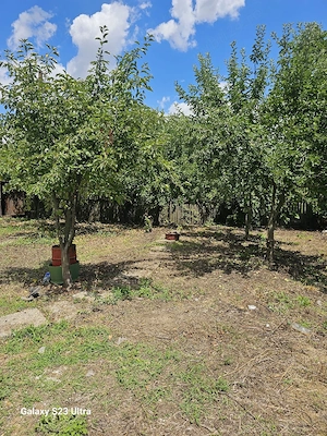 Vând casa in  Vieru, Giurgiu - imagine 8