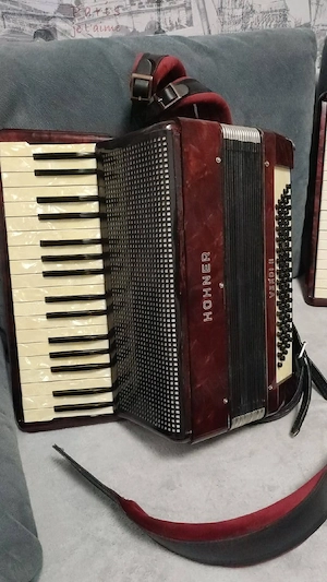 acordeon   - imagine 2