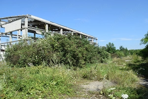 Oportunitate!Investitie! Proprietar vand teren in Deta   Timis- comision 0 - imagine 7
