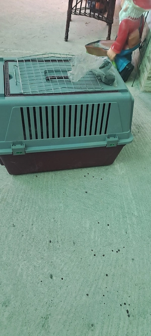 Cusca transport animale companie - imagine 4