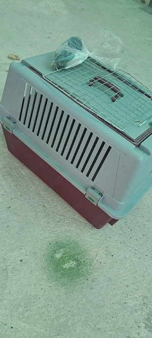 Cusca transport animale companie - imagine 3