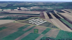 Teren extravilan de 5,99 ha la 200 m de Mureș, ideal pentru balastieră în Ususău - imagine 3