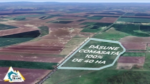 Teren PASUNE de 40ha, Comasat 100%, cu FS de 961 ml la Drumul European - imagine 4