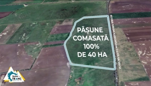 Teren PASUNE de 40ha, Comasat 100%, cu FS de 961 ml la Drumul European - imagine 2