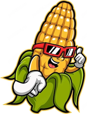 Vând porumb boabe