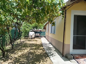 Casă de vânzare   comuna Zănești, județul Neamț - imagine 7