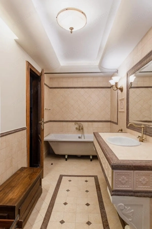 Vilă spațioasă cu 5 camere, mobilată lux, Strada Paris - imagine 5