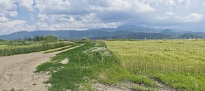Teren extravilan in Rasnov. - imagine 2