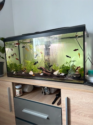 Vand Acvariu de 120 Litri Complect - imagine 2